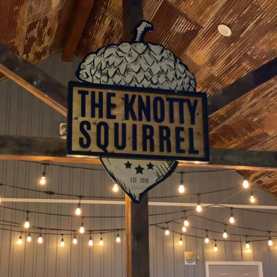 Knotty Squirrel Cabins Mountain View Dış mekan fotoğraf